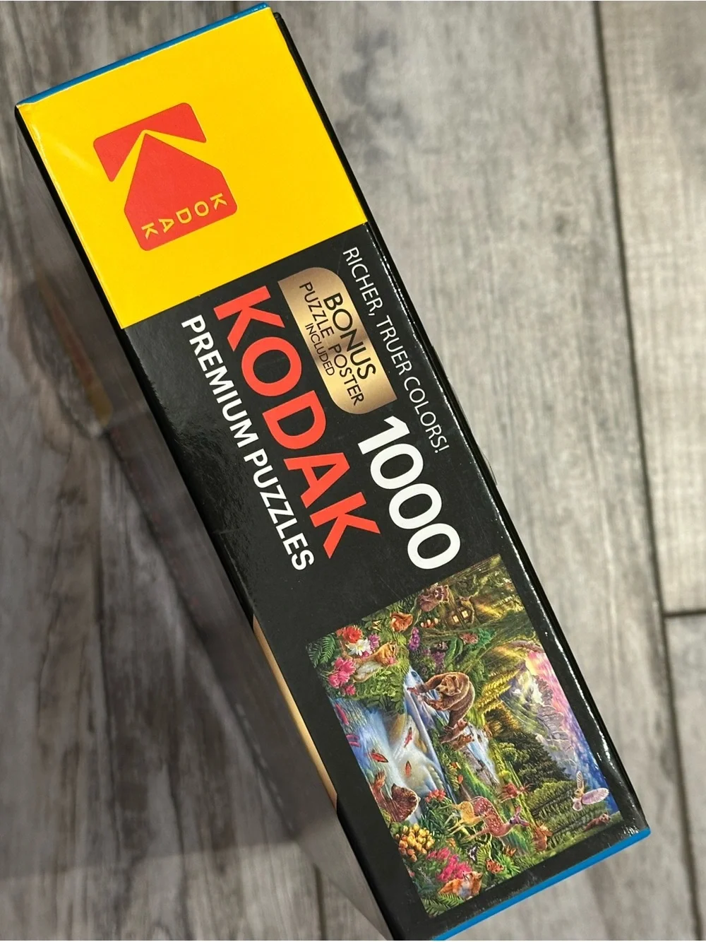 Kodak vibrant forest